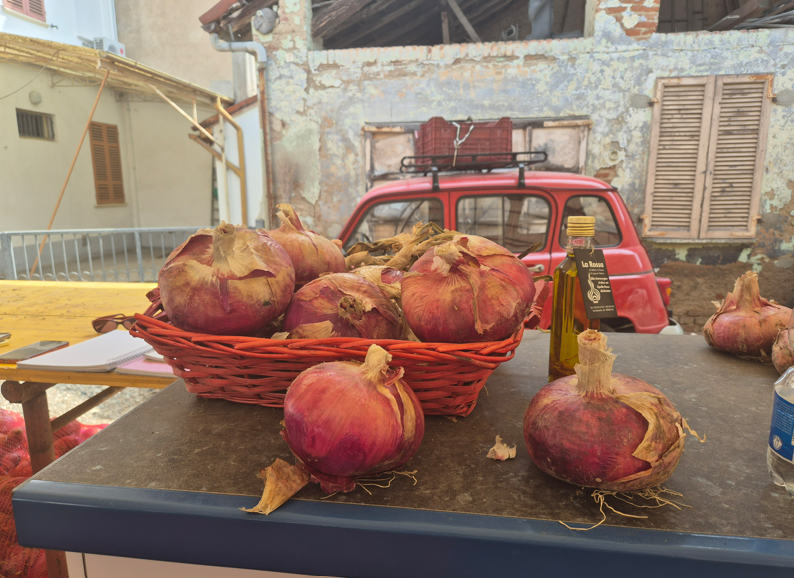 Red onion of Breme – Slow Food Presidium – Piedmont