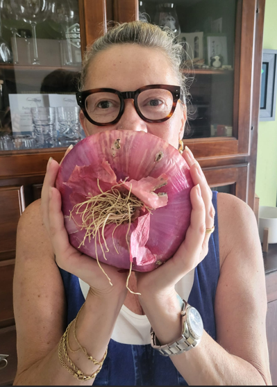 The bigger onion I never seen !!